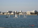 Tours de man�ge