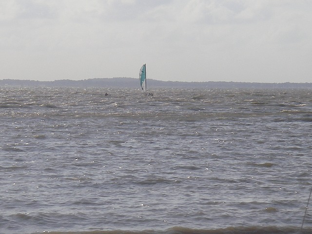 IMGP0014