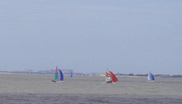 IMGP1447