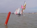 IMGP1485