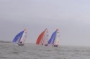 IMGP1551